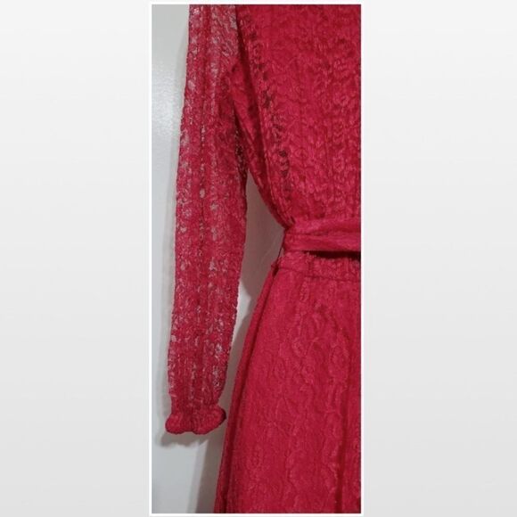 Vintage Red Lace Maxi Dress - Picture 5 of 11